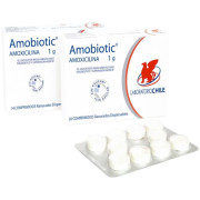Amobiotic 1 g x 14 Comprimidos Dispersables