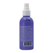 Ignacia Antonia Fijador De Maquillaje Extra Hidratante Spray 100 ml