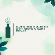 Endúlzalo Con Fuerza Shampoo 300ml