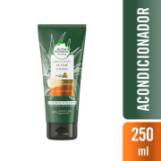 Acondicionador 6X Aloe y Mango Protege y Repara 250 mL