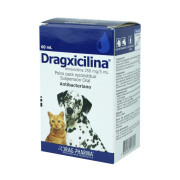 Dragxicilina Amoxicilina 250 mg/5mL Suspensión 60 mL