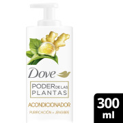 Poder de las Plantas Acondicionador Purificación + Jengibre 300 ml