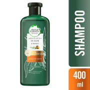 Shampoo 6X Aloe y Mango Protege y Repara 400 mL