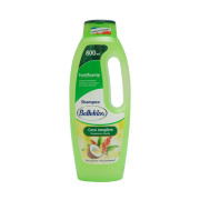 Shampoo Tratamiento Capilar Coco Jengibre Fortifica/Hidrata 800 mL