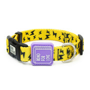 Ispet Collar Mascotas Rayo M