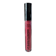 Lip Gloss Plumping Petrizzio 01 Light Red