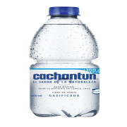 Cachantun Agua Gasificada x 500 mL