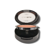 Rubor Petrizzio Blush Frosty